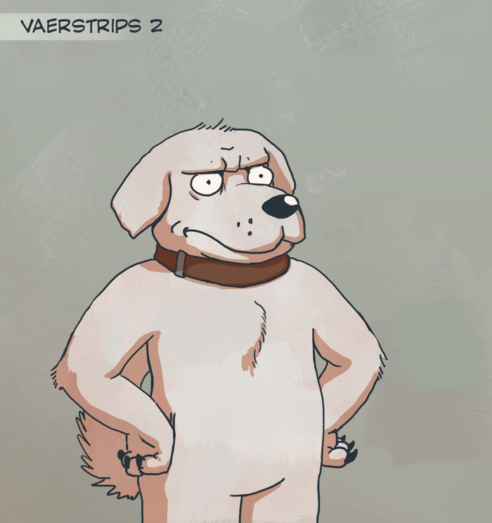 Vaerstrips 2 -   2 Vaerstrips, , , , , 