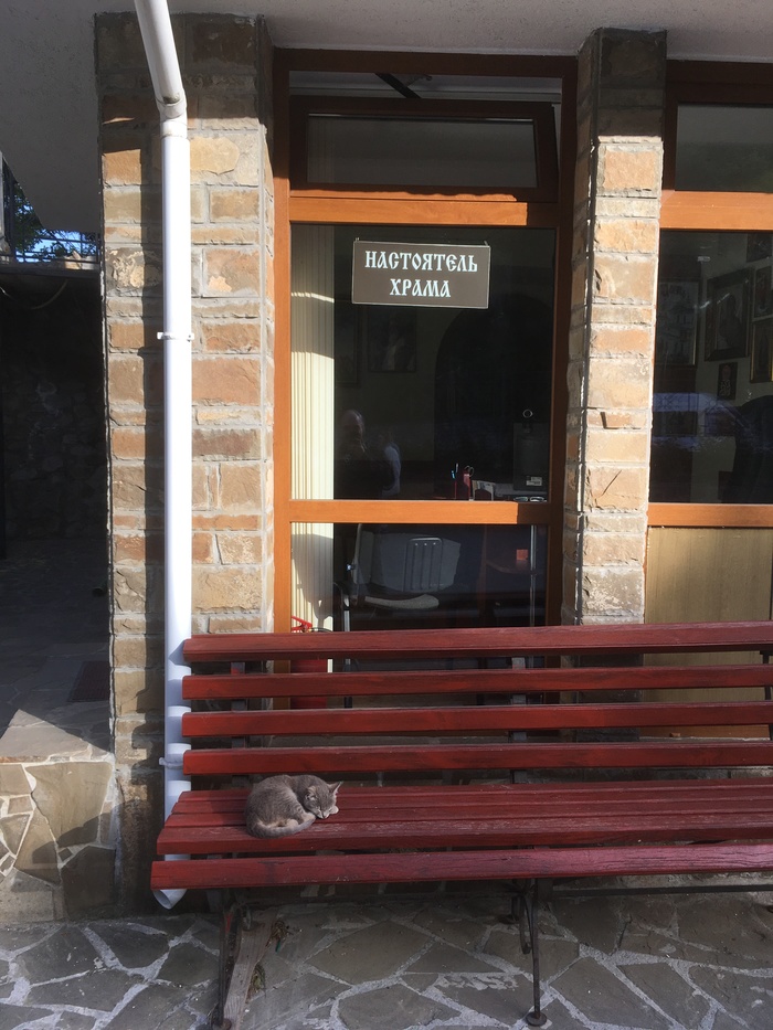 Do not disturb... - My, cat, Crimea, Temple, The photo