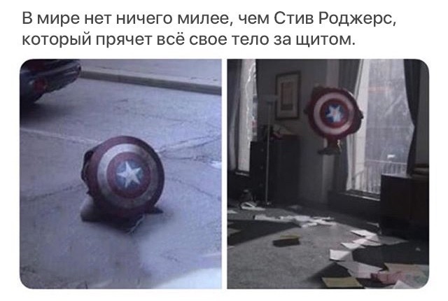 Captain Turtle - Captain America, Avengers, Shield