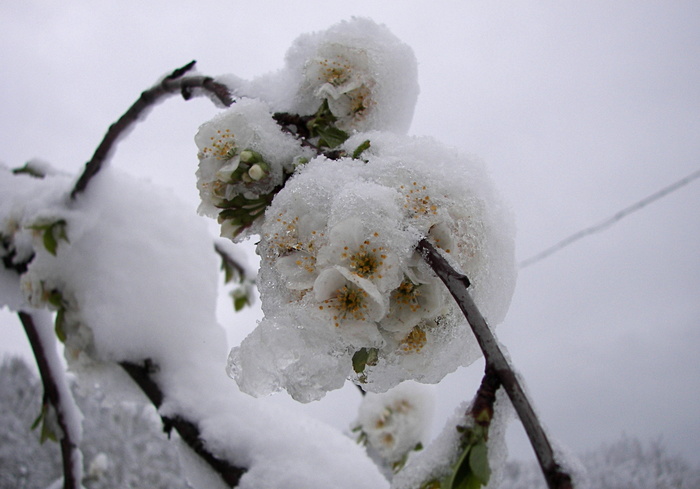 May: I'm an artist, I see it that way. - My, The photo, Italy, Snow, Apennines, Longpost