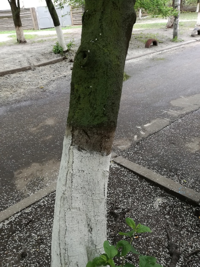     , , , , ,   , 