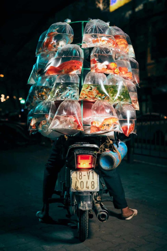 Delivery workers from Hanoi transporting goods on their scooters - The photo, Hanoi, Cargo, Deliveryman, Longpost, Vietnam, Moped