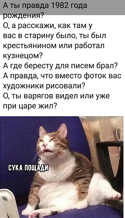 Пощади - Мемы, Кот, 30