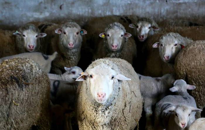 ������� � ���� "���������" � ����� ��-�� �������� ��������