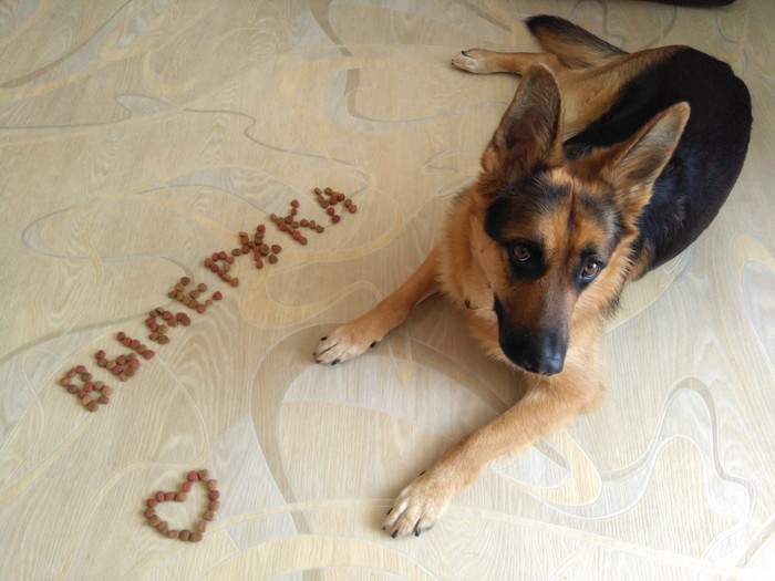 Выдержка №3