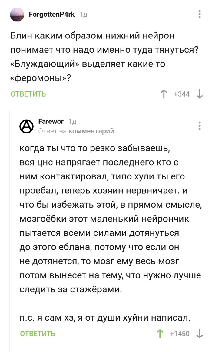 Когда комментарий лучше поста, то и комментировать ничего не нужно - Комментарии на Пикабу, Нейроны, Забывчивость