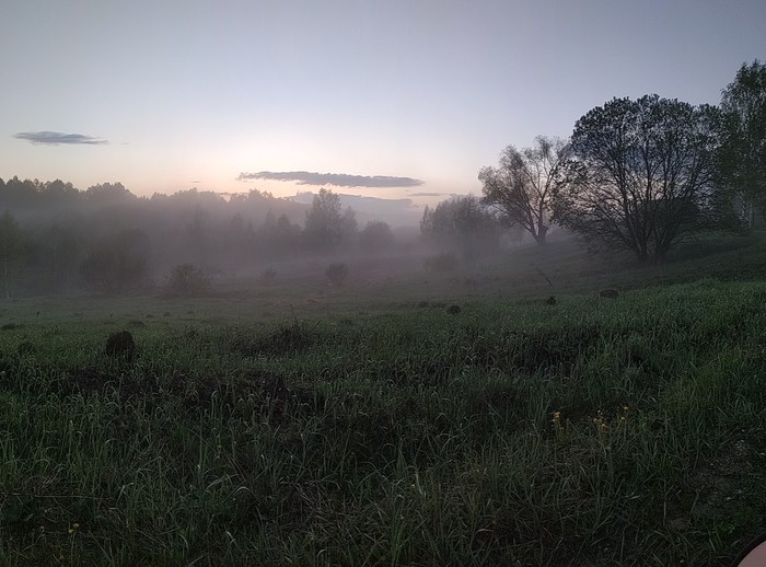 Fog after rain - Fog, Nature, Kaluga region, Longpost, The photo