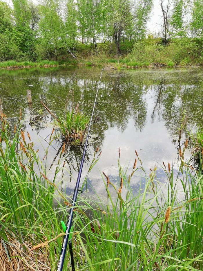 �� �������