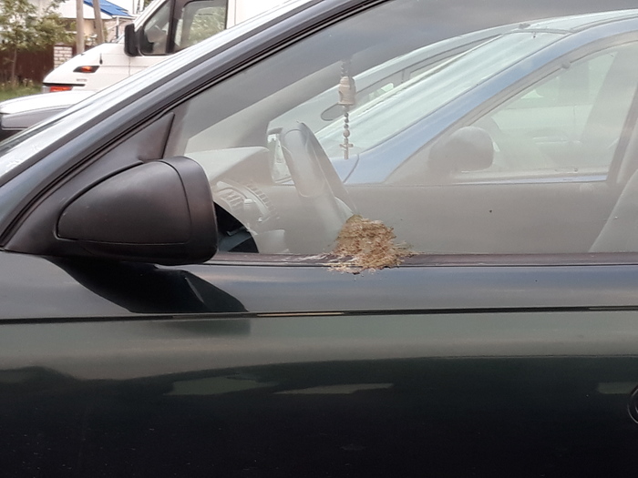 � ����� ������� ������� )))