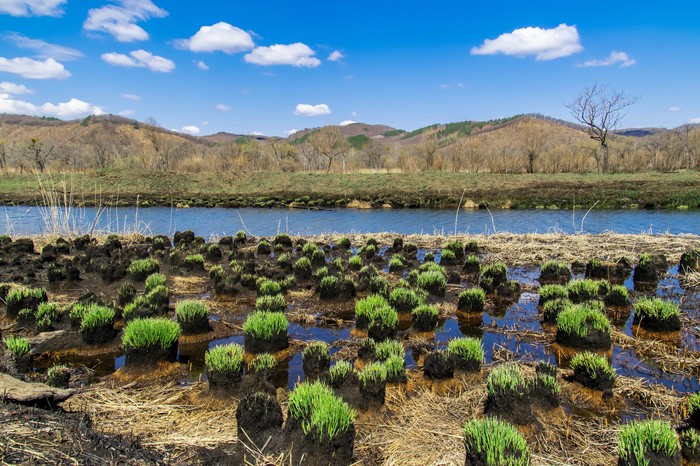 ������� ����