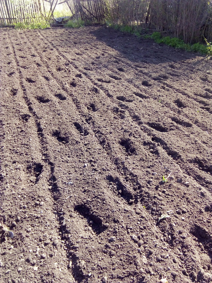 Место прогулки среднестатического пикабушника...
