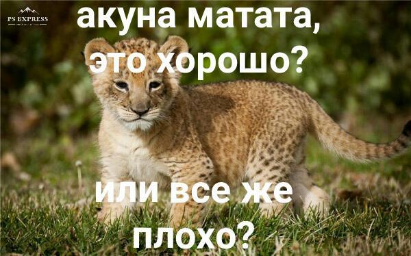 I see the rhyme ... - The lion king, Вижу рифму, Longpost