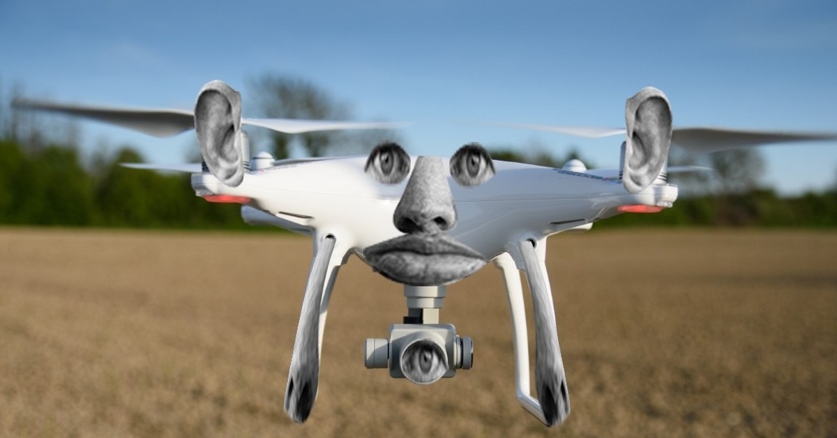 Квадрокоптер dji phantom 4 pro plus v2. Phantom 4*60. Phantom 4 drone. Бпла dji phantom. Квадрокоптер dji phantom 4 pro.