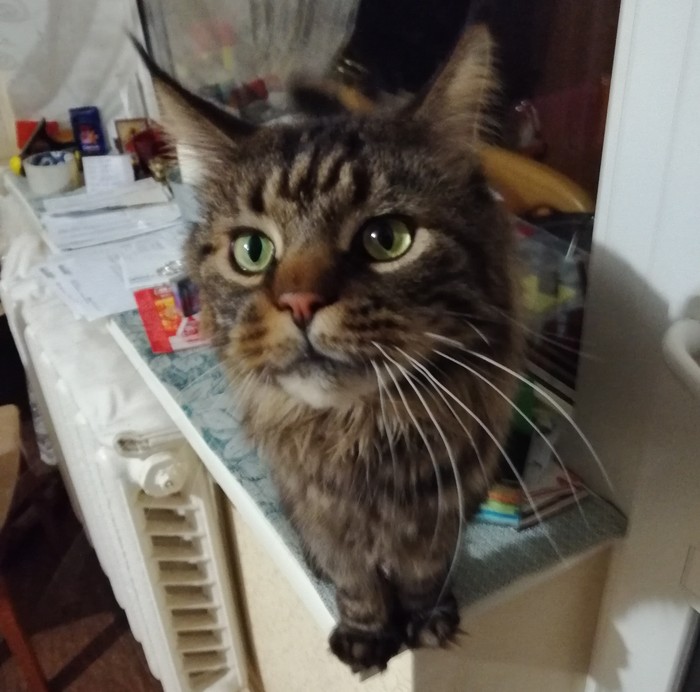   , -, 