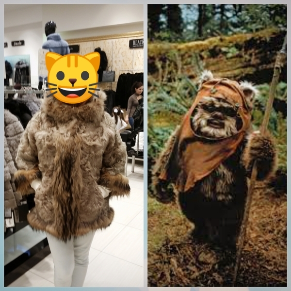 When your wife looks like a Star Wars Ewok - My, Star Wars, Ewoks, Fashion what are you doing