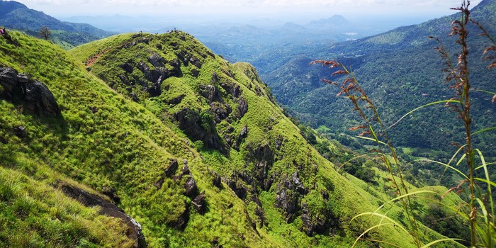 Немного Шри-Ланки вам в ленту Пейзаж, Фотография, Природа, Море, Пляж, Горы, Туризм, Длиннопост