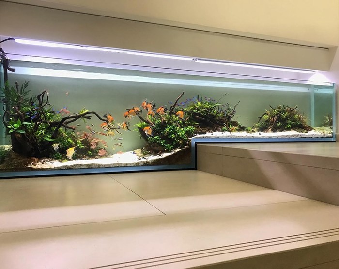 Как тебе такое, Илон Маск?)