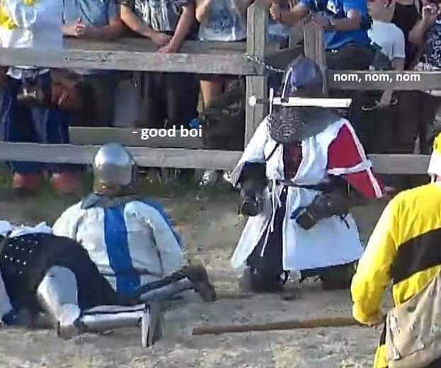 Good boy - Knight, Middle Ages, Medieval Battle