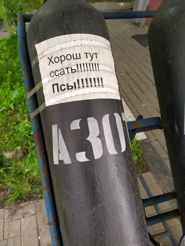 At the fence behind one of the Moscow gas stations. Cry from the heart: - Cry from the heart, Gas refueling, Public toilet, Longpost