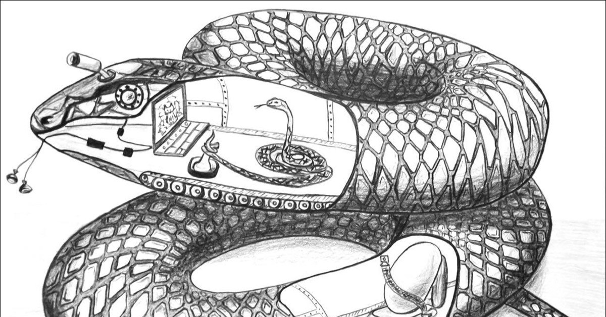 Строение питона. Рисунок змеи. Змея Бионика. Змея строение. Змея в разрезе.
