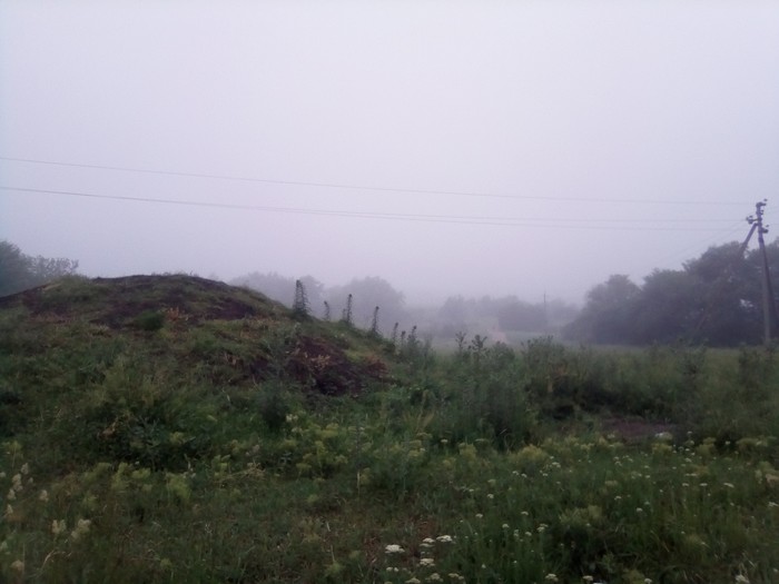 Morning. May. - My, The photo, Morning, Fog