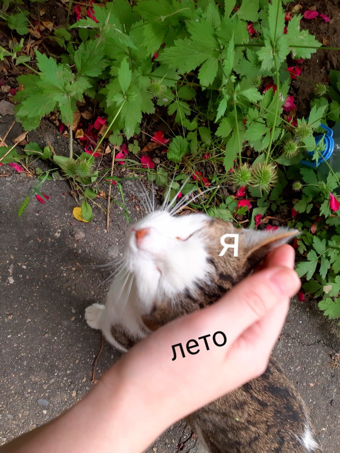    , 