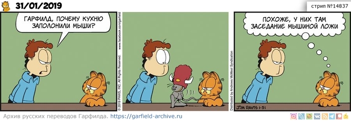Translated by Garfield, January 31, 2019 - Mouse, cat, Humor, Comics, Translation, Garfield, My