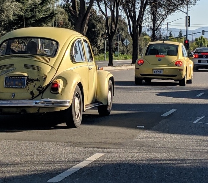      , , , , , ,  , Volkswagen, Volkswagen Beetle