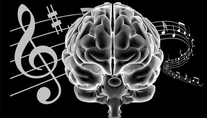 Geniuses listen to music, but fools listen to lyrics - Music, Brain, Influence