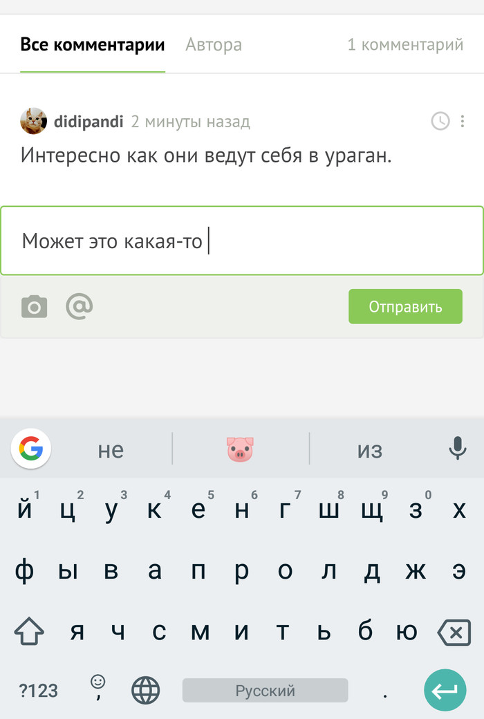 Google    , Google, , Android