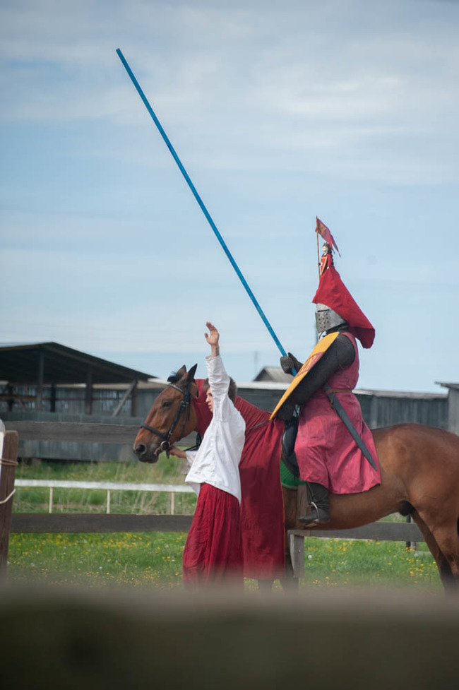 Maypole Festival 2019 - My, 13th century, The festival, Middle Ages, Knight, Field hockey, Longpost