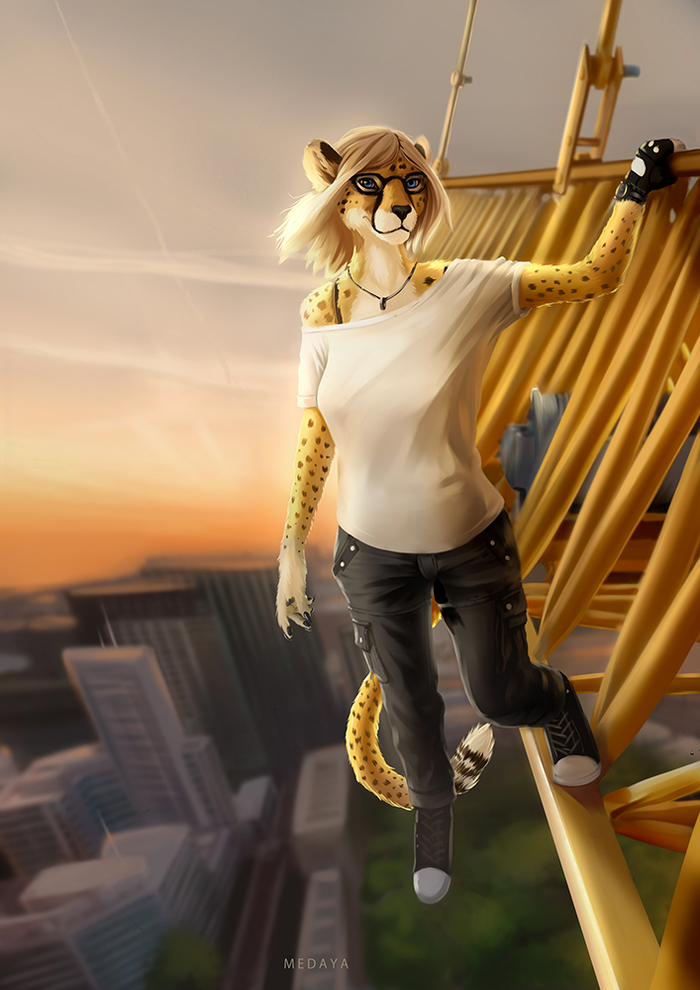 Fearless - Furry, Anthro, Medaya, Art