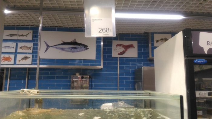 What is sold to us under the guise of LIVE fish - Longpost, Disease, A fish, Supermarket, Bashkortostan, Ufa, My