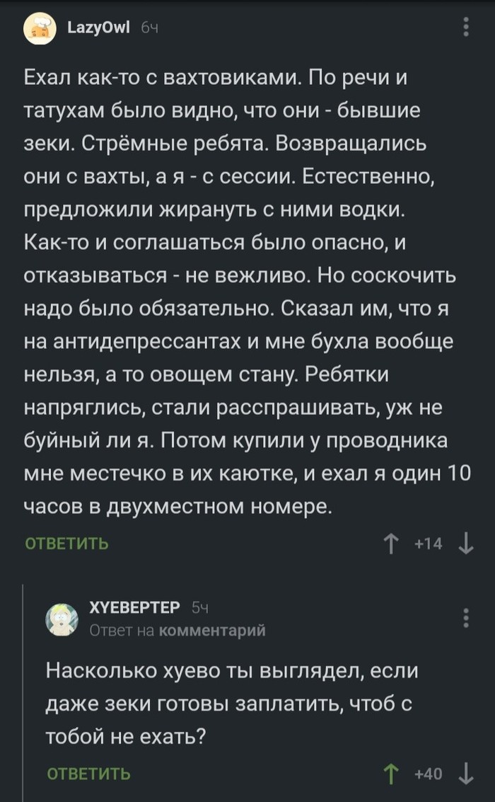 Когда плохо выглядишь. - Поезд, Комментарии на Пикабу, Попутчики, Скриншот, Мат