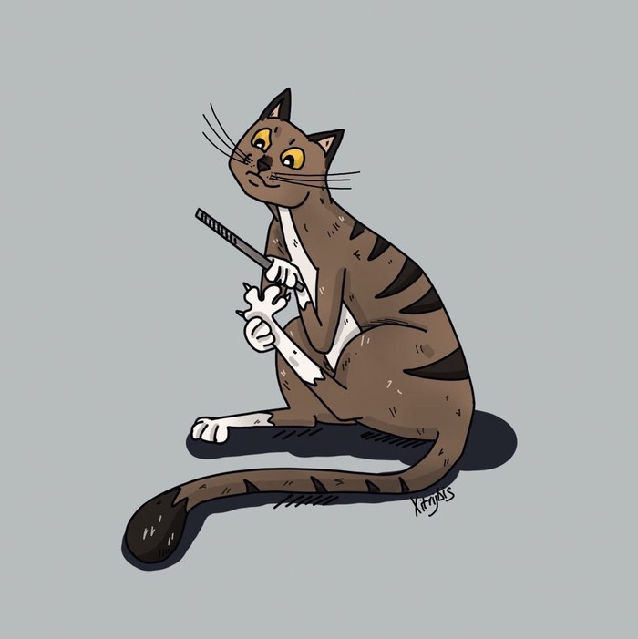 Важные кошачьи делишки