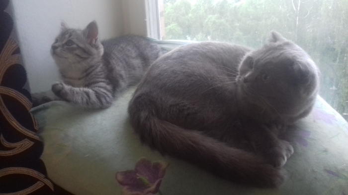 ��������� �����) ��� ��������� ������� ����� 3