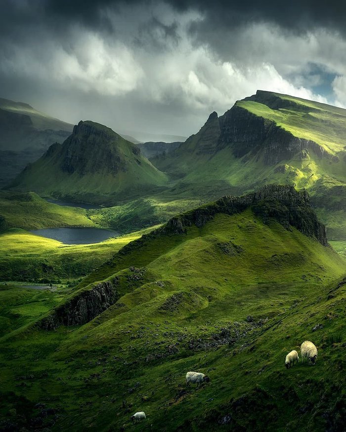 Scottish Highlands - Nature, beauty of nature, Scotland, Landscape, Rams