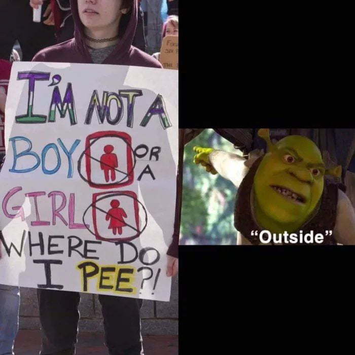 Shrek speaks - Intolerance, Toilet, , Shrek, Picture with text, Gender Neutral