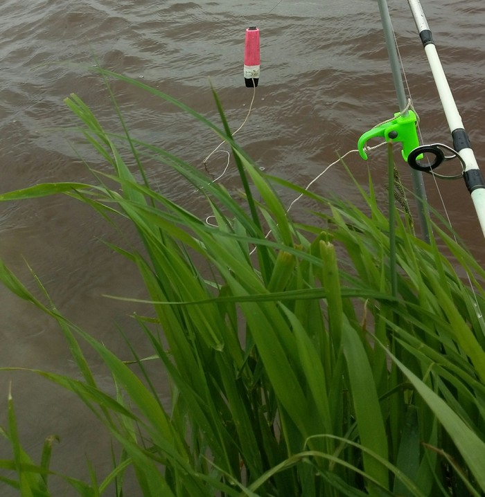 Fly rod fishing - My, Float, Donka, Fishing rod, Video, Longpost