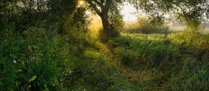 Path to a fairy tale - My, dawn, Nikon, Russia