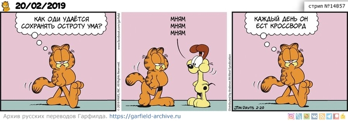 Перевод Гарфилда, 20 февраля 2019г.