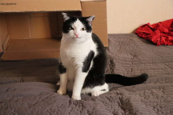 Не могу понять, во взгляде больше любви или уважения?