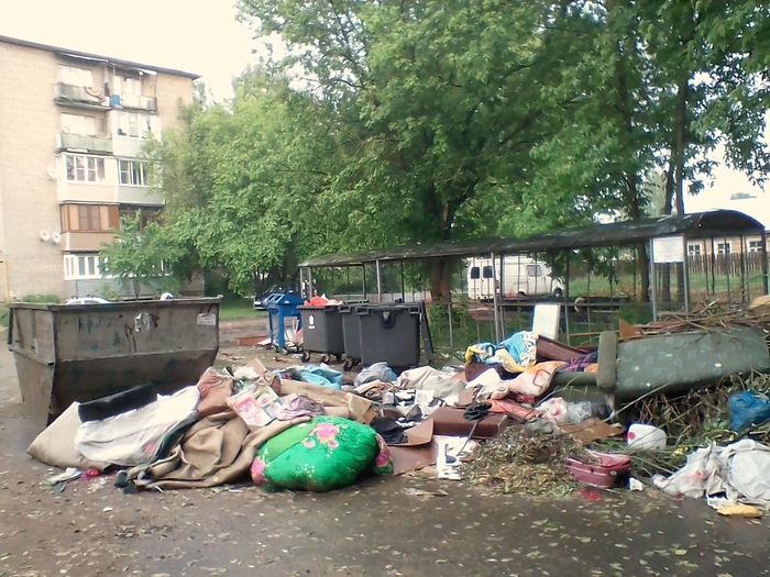 Officially recognized as a crook, the head of the Moscow Region filled up the city with sewage - My, Staraya Kupavna, Noginsk district, Igor Sukhin, Igor Chaika, Longpost, Negative