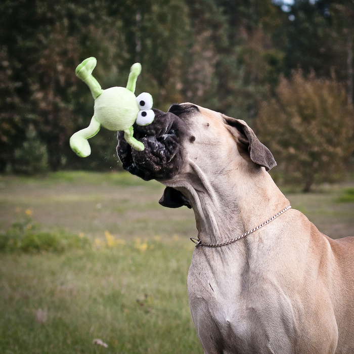 Мастерский бросок