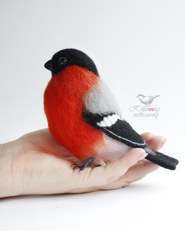 Bullfinch. Felted wool. - My, Needlework without process, Dry felting, Birds, Creation, Needlework, Craft, Longpost