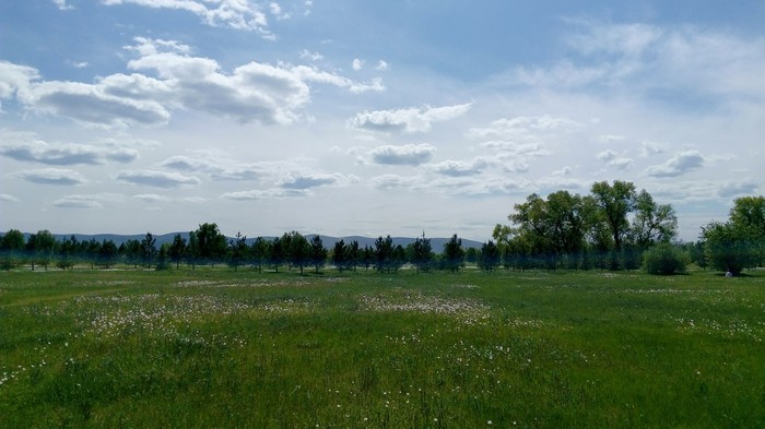 Tatyshev Island in early summer - My, Tatyshev Island, Nature, Longpost