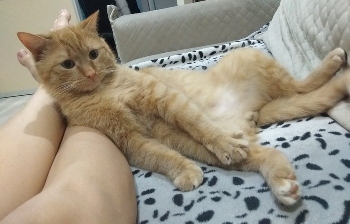   , , , , 