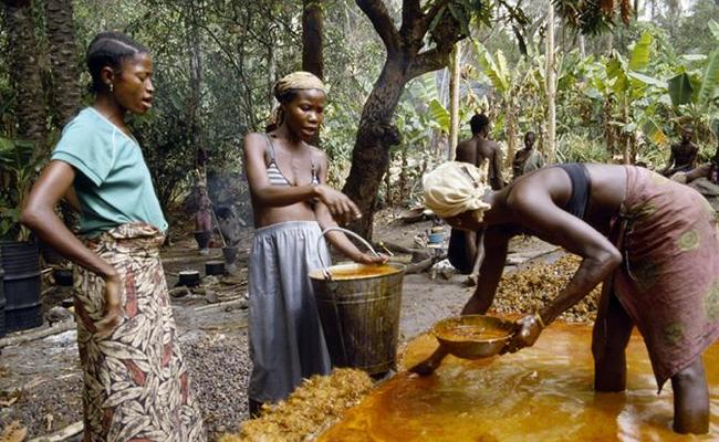 Russia, Nigeria and palm oil - My, Russia, Africa, Economy, Food, Money, media, Media and press