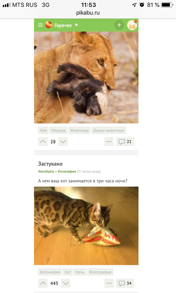 Копия и неповторимый оригинал.