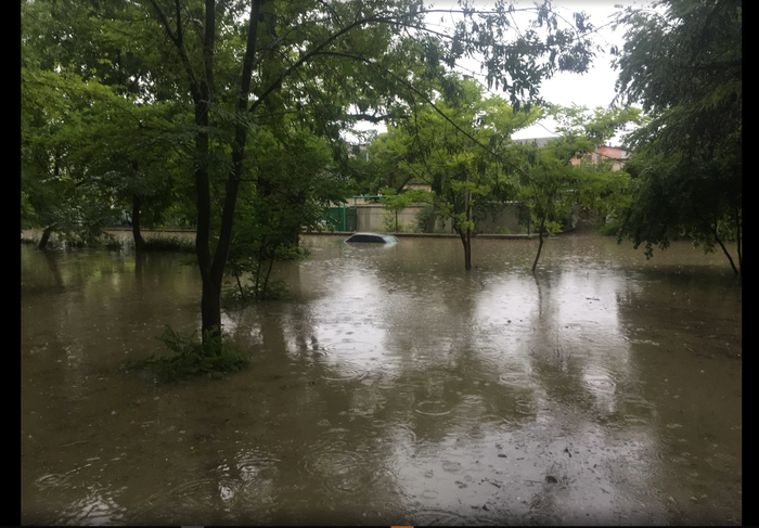 ����� ����� ����� ������